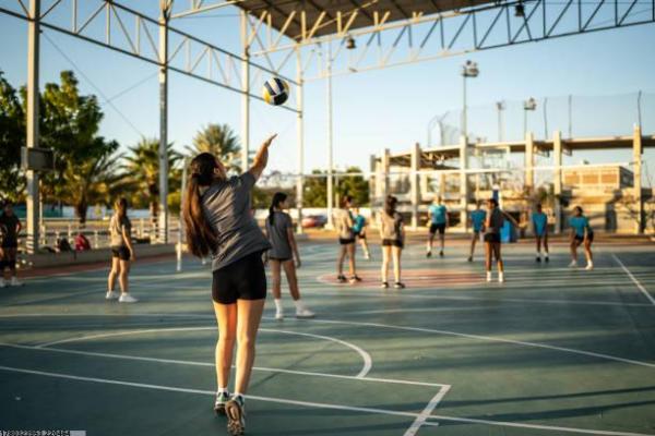 哪些体育项目证书最容易获取？